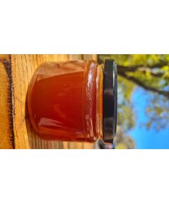 Lesný med medovicový